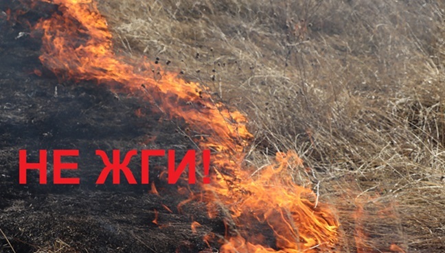 ПОЖАРООПАСНЫЙ ПЕРИОД ПОЖАРООПАСНЫЙ ПЕРИОД