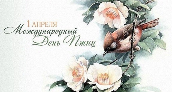 1 апреля - Международный день птиц 1 апреля - Международный день птиц